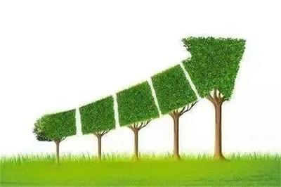 对林业产业现代化发展趋势的观察与思考——聚焦生物质能技术服务