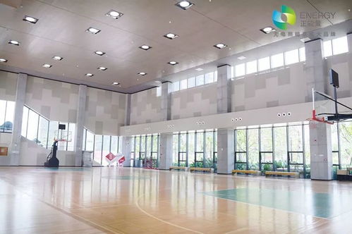 2020年新型节能环保产品 生物质能技术服务引领绿色未来