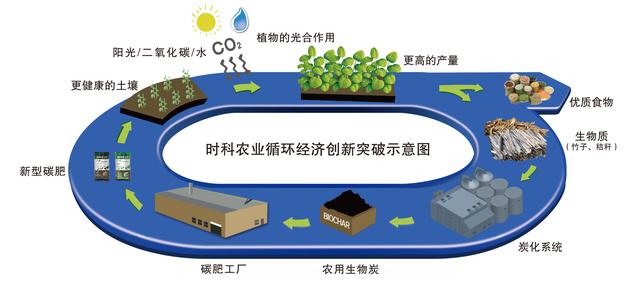 时科生物炭基肥:一款让根自由呼吸的生物菌肥